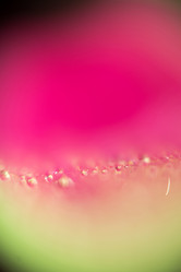 Similar image 8223146