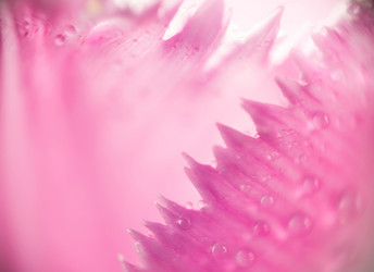 Similar image 8223147