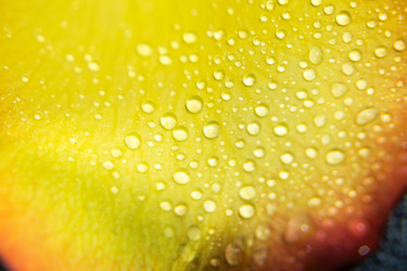 Similar image 8223154