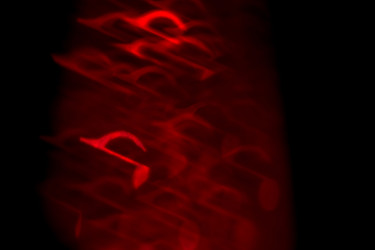 Similar image 8223162