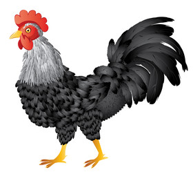 Similar image 8223173