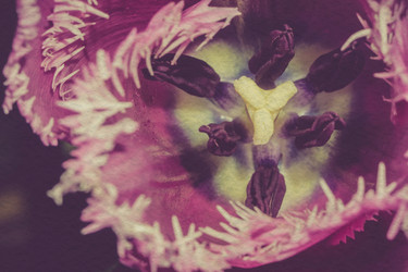 Similar image 8223224