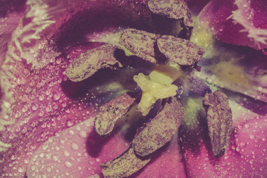 Similar image 8223265