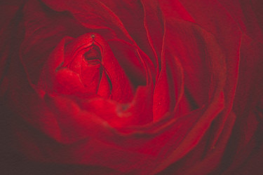 Similar image 8223268