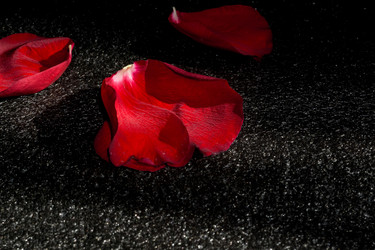 Similar image 8223270