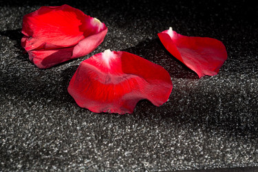 Similar image 8223271