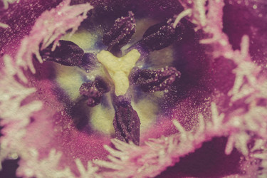 Similar image 8223273