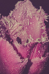 Similar image 8223274