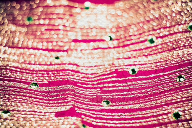 Similar image 8223278