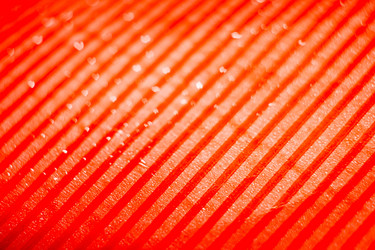 Similar image 8223284