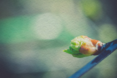 Similar image 8223295