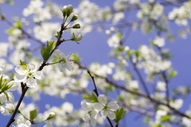 Similar image 8223297