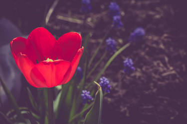 Similar image 8223312