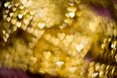 Similar image 8223314