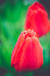 Similar image 8223323