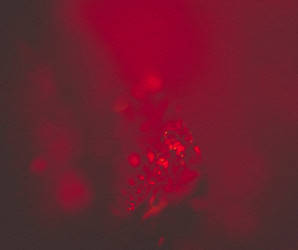 Similar image 8223326