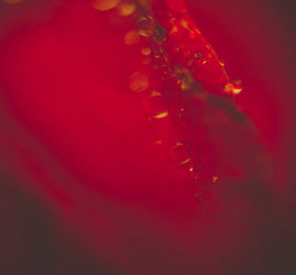 Similar image 8223327