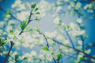 Similar image 8223328