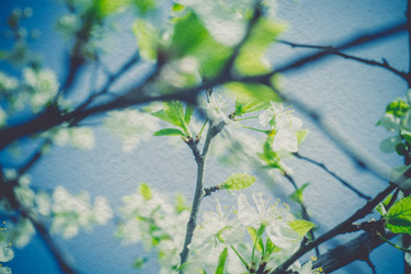 Similar image 8223329