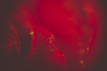 Similar image 8223333