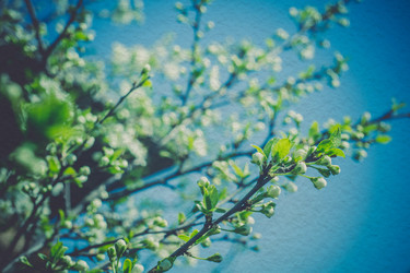 Similar image 8223334