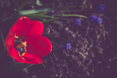 Similar image 8223335