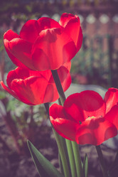 Similar image 8223336