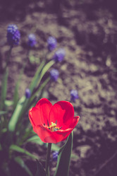 Similar image 8223337