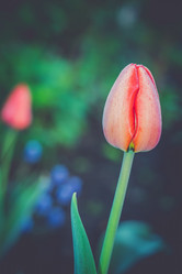 Similar image 8223338