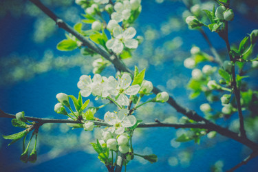 Similar image 8223341