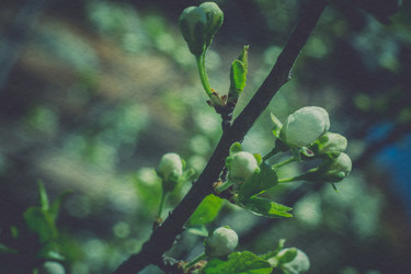 Similar image 8223342