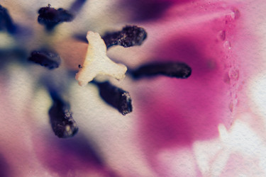 Similar image 8223369