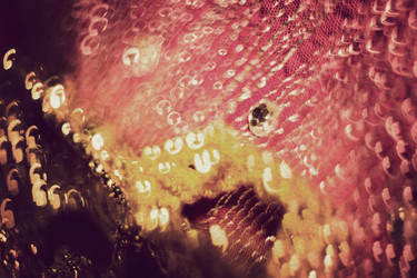 Similar image 8223381