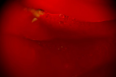 Similar image 8223385