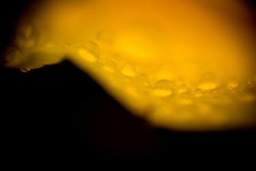 Similar image 8223387