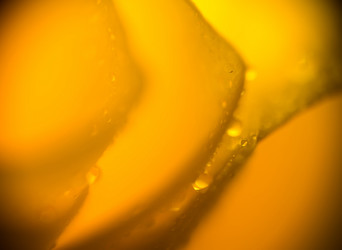 Similar image 8223388