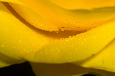 Similar image 8223389