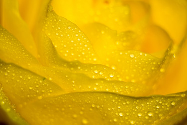 Similar image 8223390