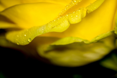 Similar image 8223391