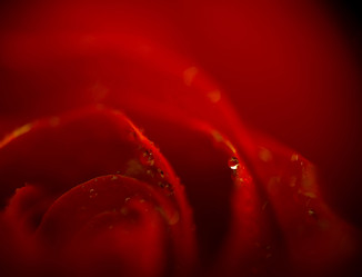 Similar image 8223393