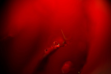 Similar image 8223394