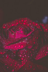 Similar image 8223397