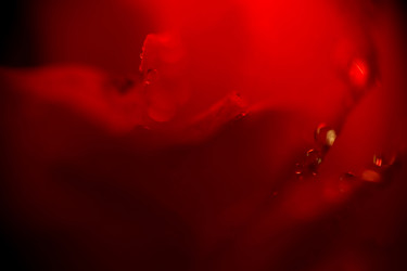 Similar image 8223399