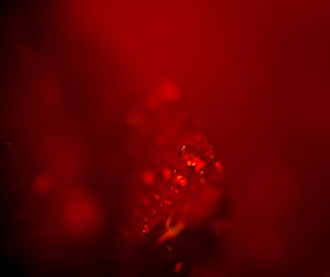 Similar image 8223400