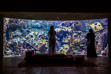 Similar image 8223803