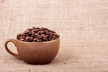 Similar image 8223881