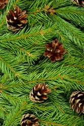 Similar image 8223917