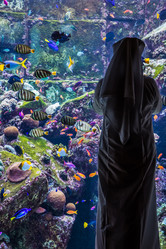 Similar image 8224051