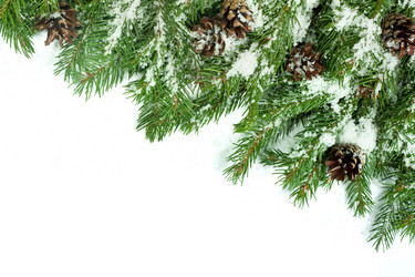 Similar image 8224078