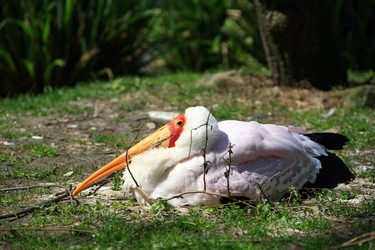 Similar image 8224190